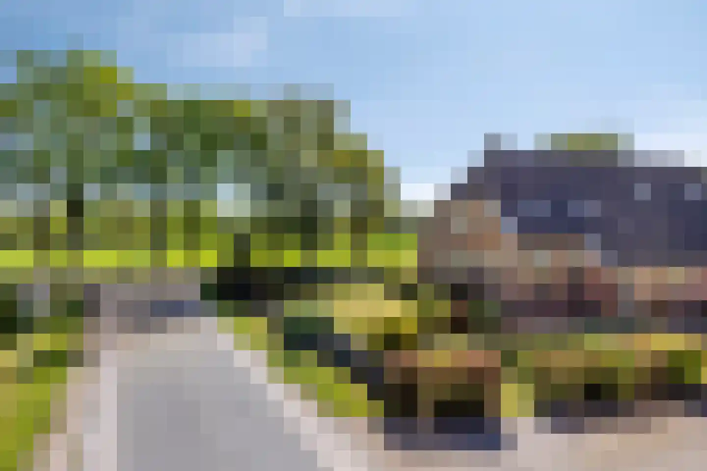 Zuidveldigerweg 1 Peest thumbnail 47