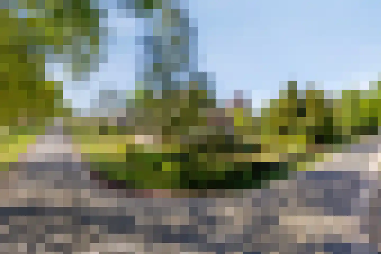 Zuidveldigerweg 1 Peest thumbnail 48