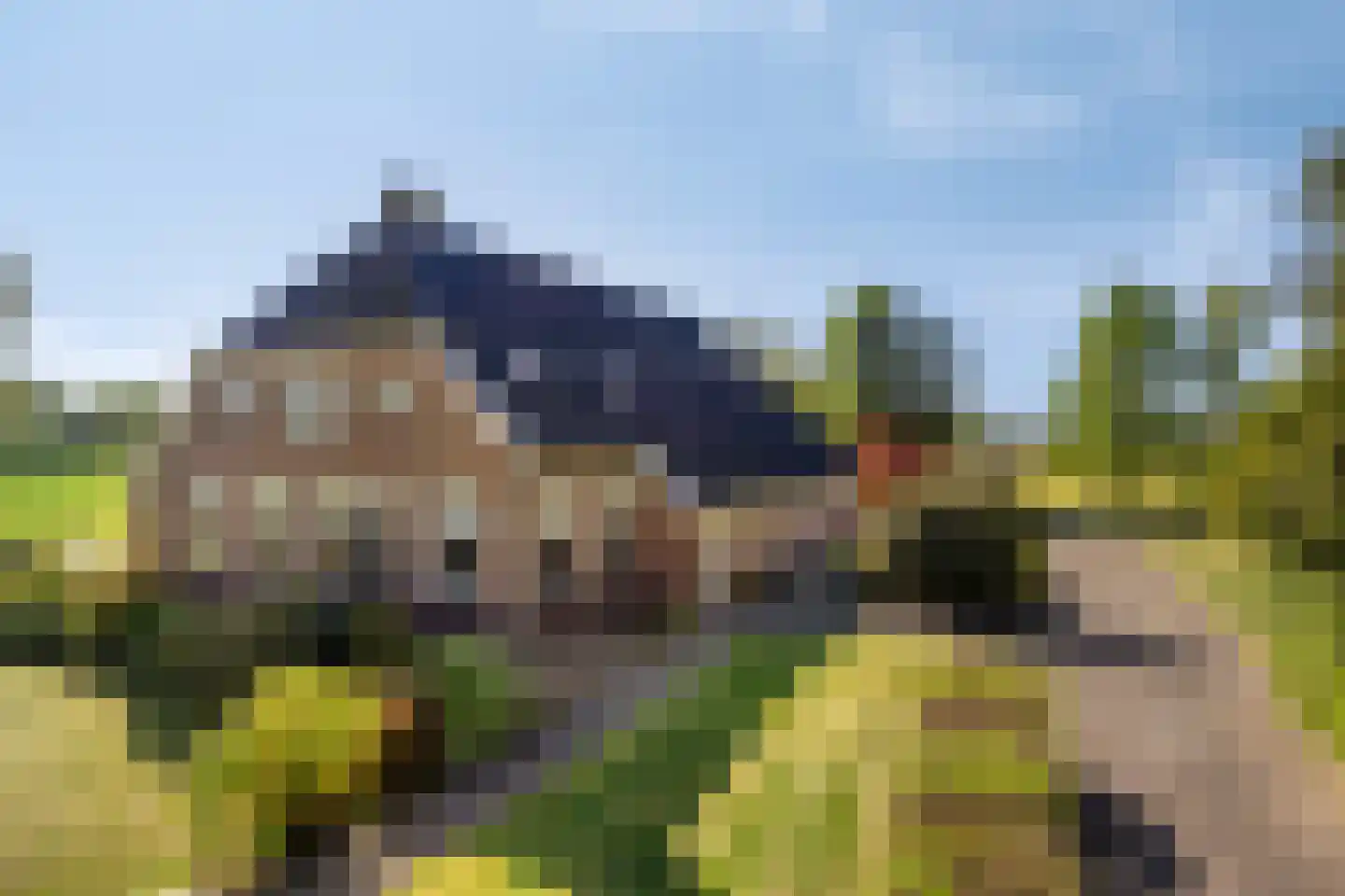 Zuidveldigerweg 1 Peest thumbnail 5