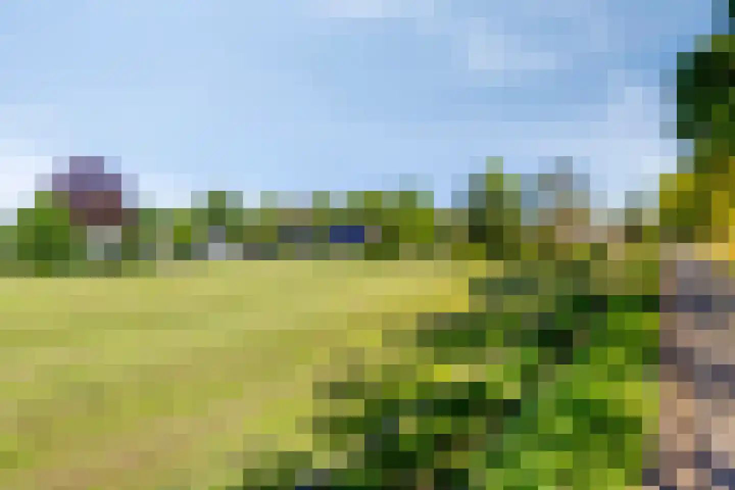 Zuidveldigerweg 1 Peest thumbnail 50