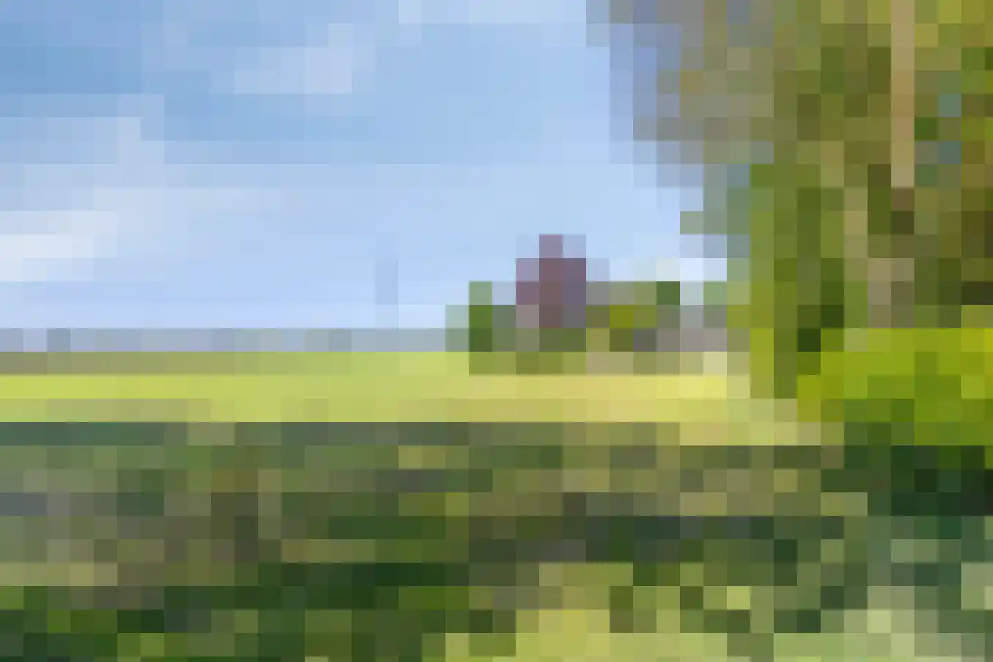 Zuidveldigerweg 1 Peest thumbnail 51