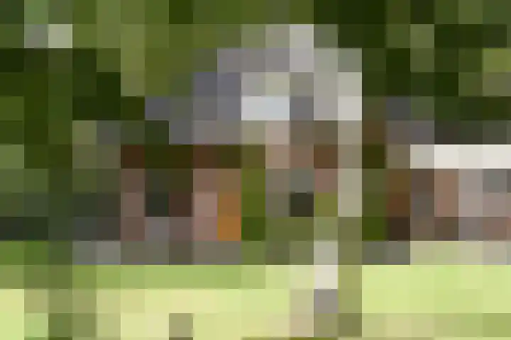 Zuidveldigerweg 4 Peest thumbnail 10