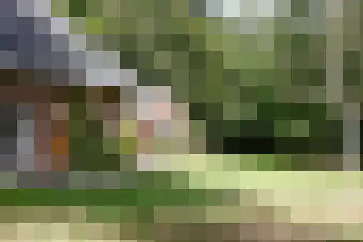 Zuidveldigerweg 4 Peest thumbnail 12