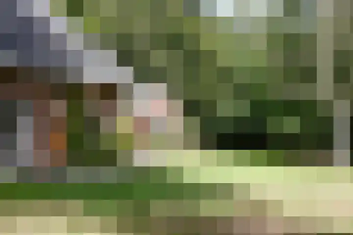 Zuidveldigerweg 4 Peest thumbnail 13