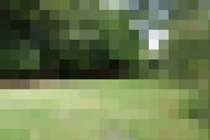 Zuidveldigerweg 4 Peest thumbnail 15