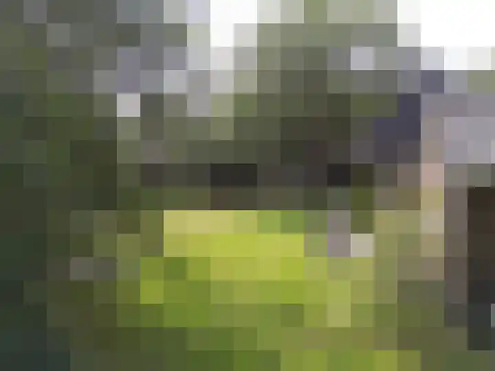 Zuidveldigerweg 4 Peest thumbnail 16