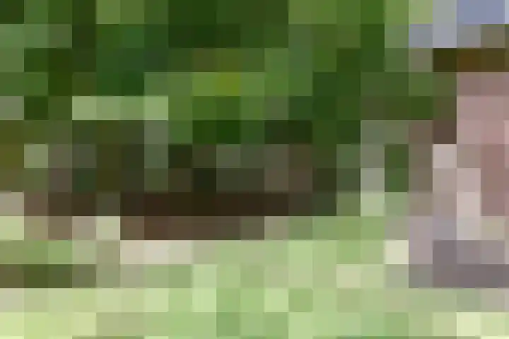 Zuidveldigerweg 4 Peest thumbnail 17