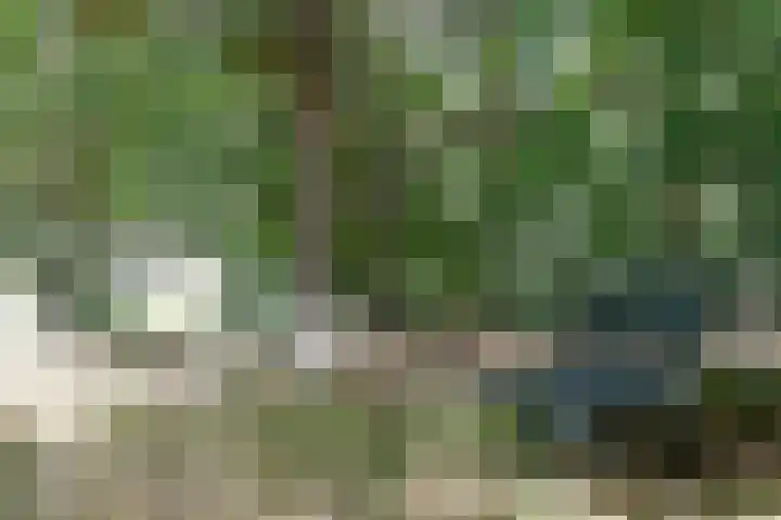 Zuidveldigerweg 4 Peest thumbnail 18