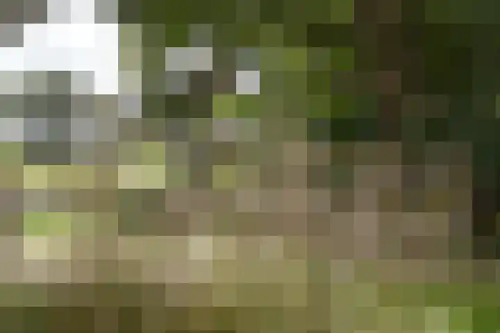 Zuidveldigerweg 4 Peest thumbnail 4
