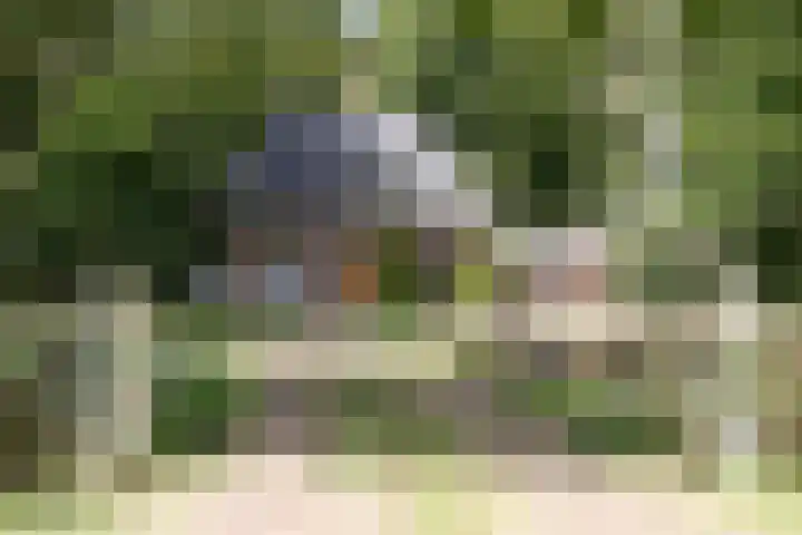 Zuidveldigerweg 4 Peest thumbnail 5