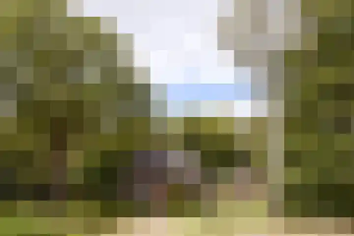 Zuidveldigerweg 4 Peest thumbnail 6