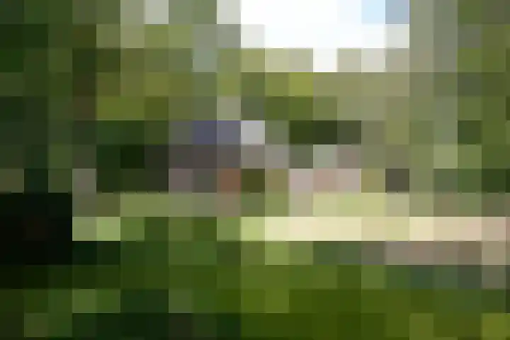 Zuidveldigerweg 4 Peest thumbnail 7