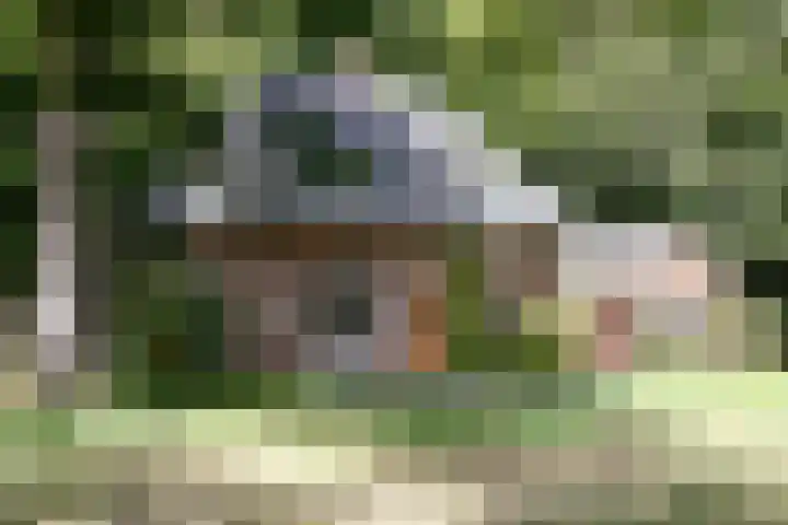Zuidveldigerweg 4 Peest thumbnail 8