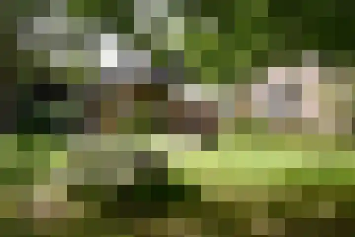 Zuidveldigerweg 4 Peest thumbnail 9