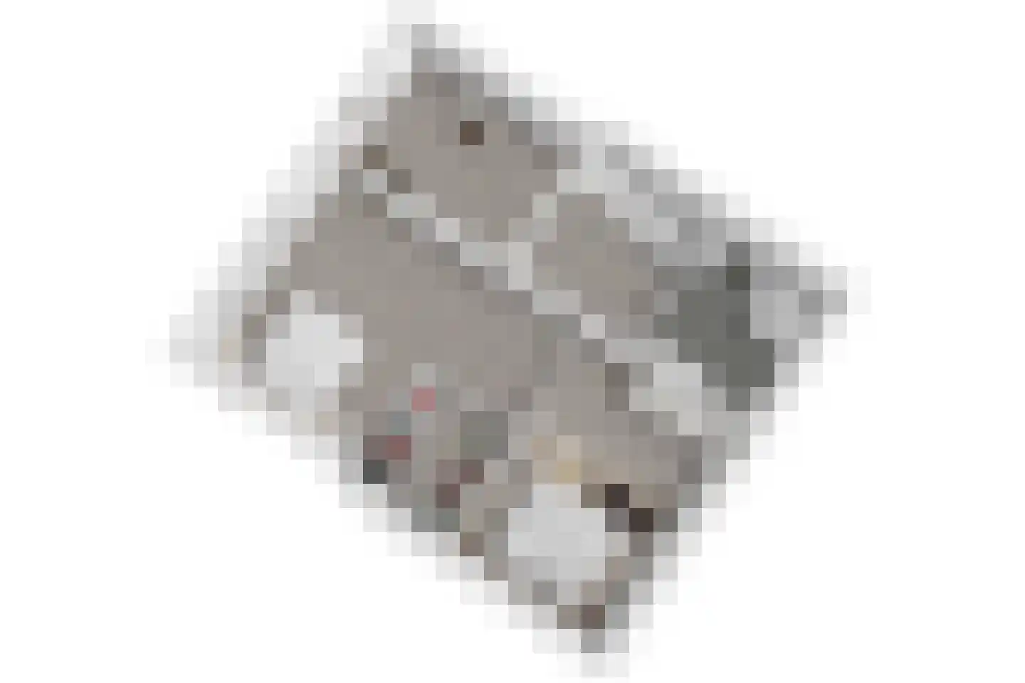 Zuidveldt 1 Zoeterwoude thumbnail 100