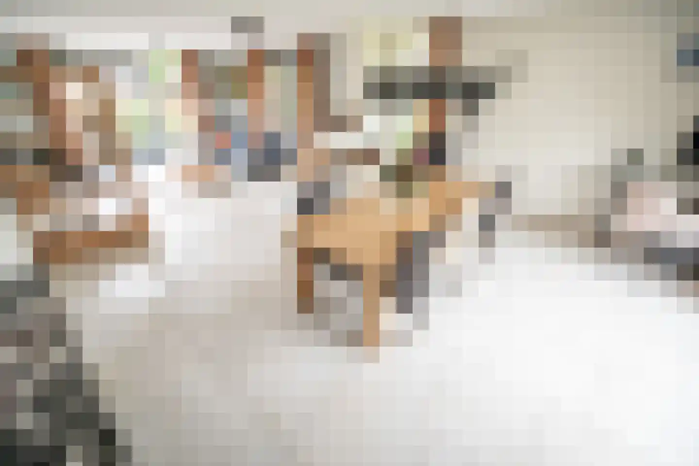 Zuidveldt 1 Zoeterwoude thumbnail 15