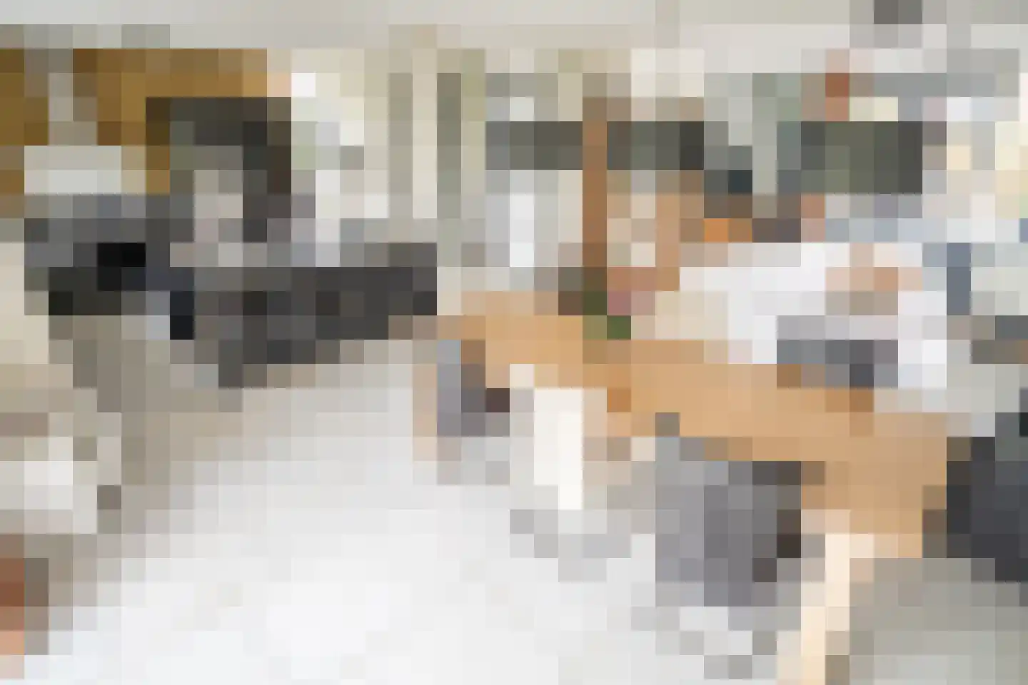 Zuidveldt 1 Zoeterwoude thumbnail 17