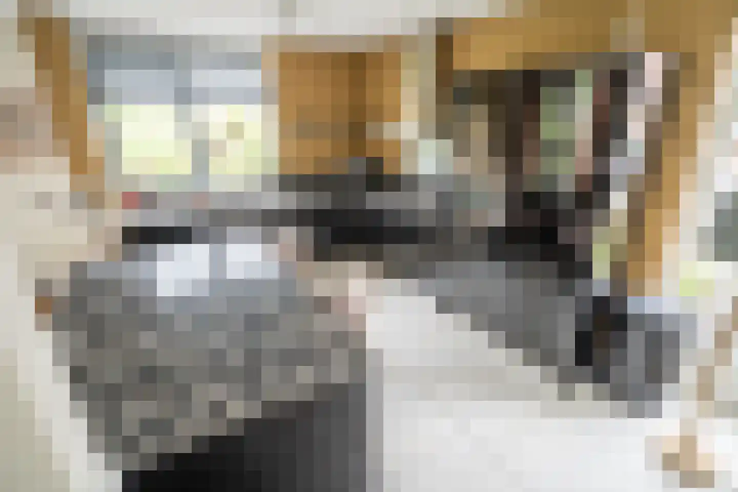 Zuidveldt 1 Zoeterwoude thumbnail 21