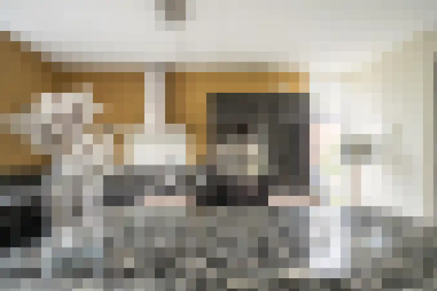Zuidveldt 1 Zoeterwoude thumbnail 22