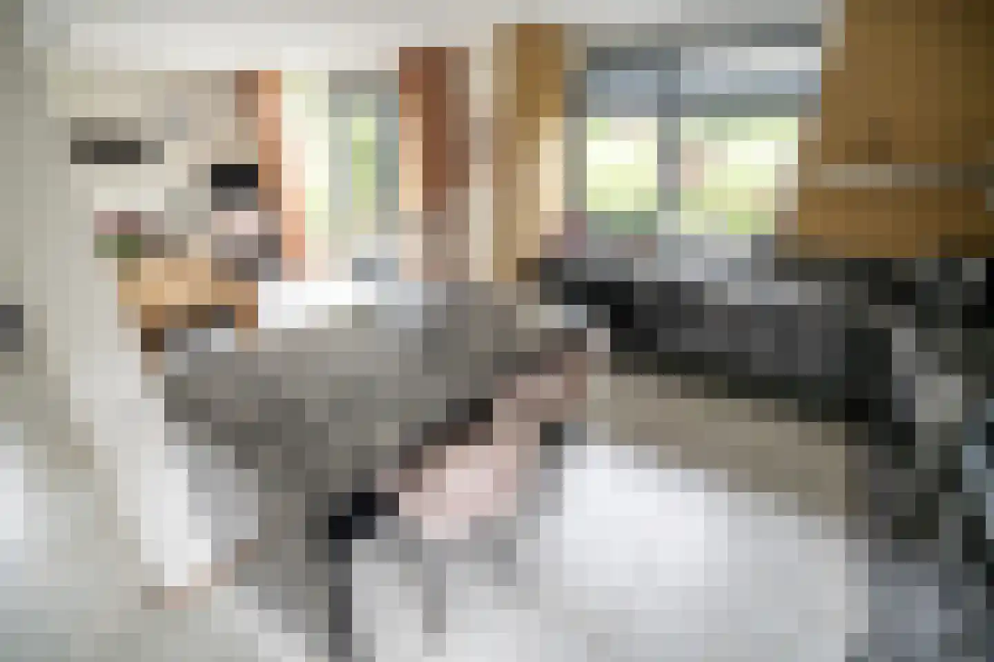 Zuidveldt 1 Zoeterwoude thumbnail 23