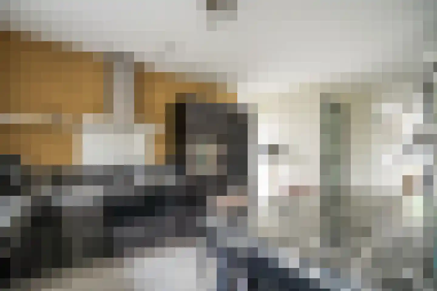 Zuidveldt 1 Zoeterwoude thumbnail 25