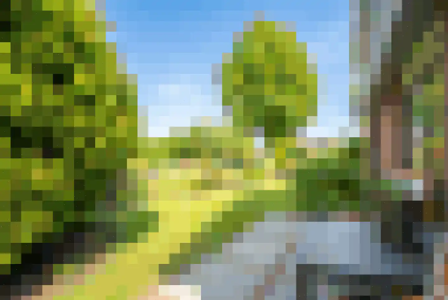 Zuidveldt 1 Zoeterwoude thumbnail 34