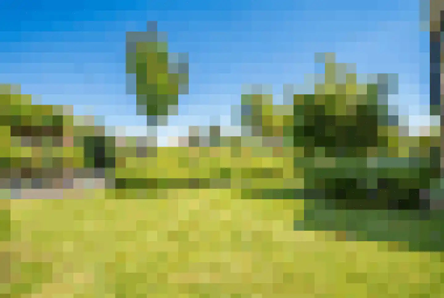 Zuidveldt 1 Zoeterwoude thumbnail 36
