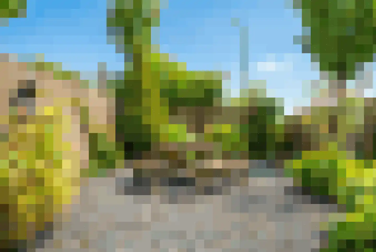 Zuidveldt 1 Zoeterwoude thumbnail 37