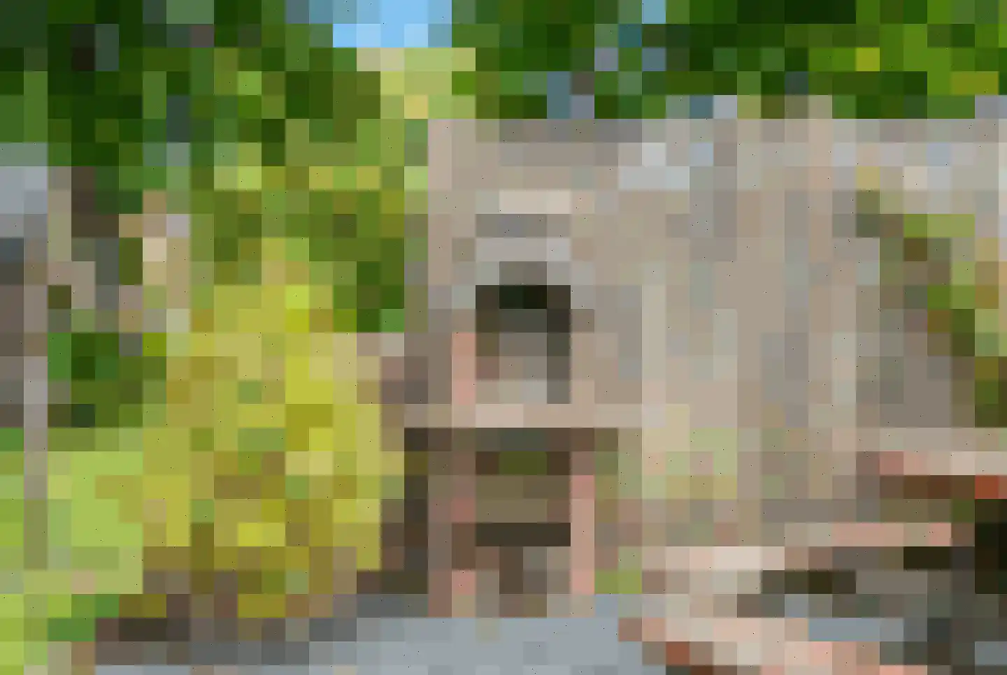 Zuidveldt 1 Zoeterwoude thumbnail 38