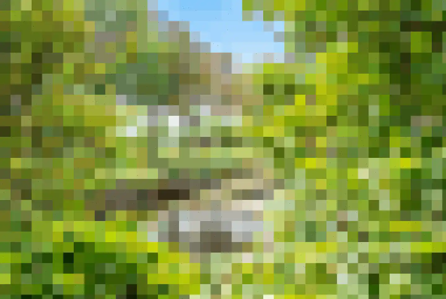 Zuidveldt 1 Zoeterwoude thumbnail 44