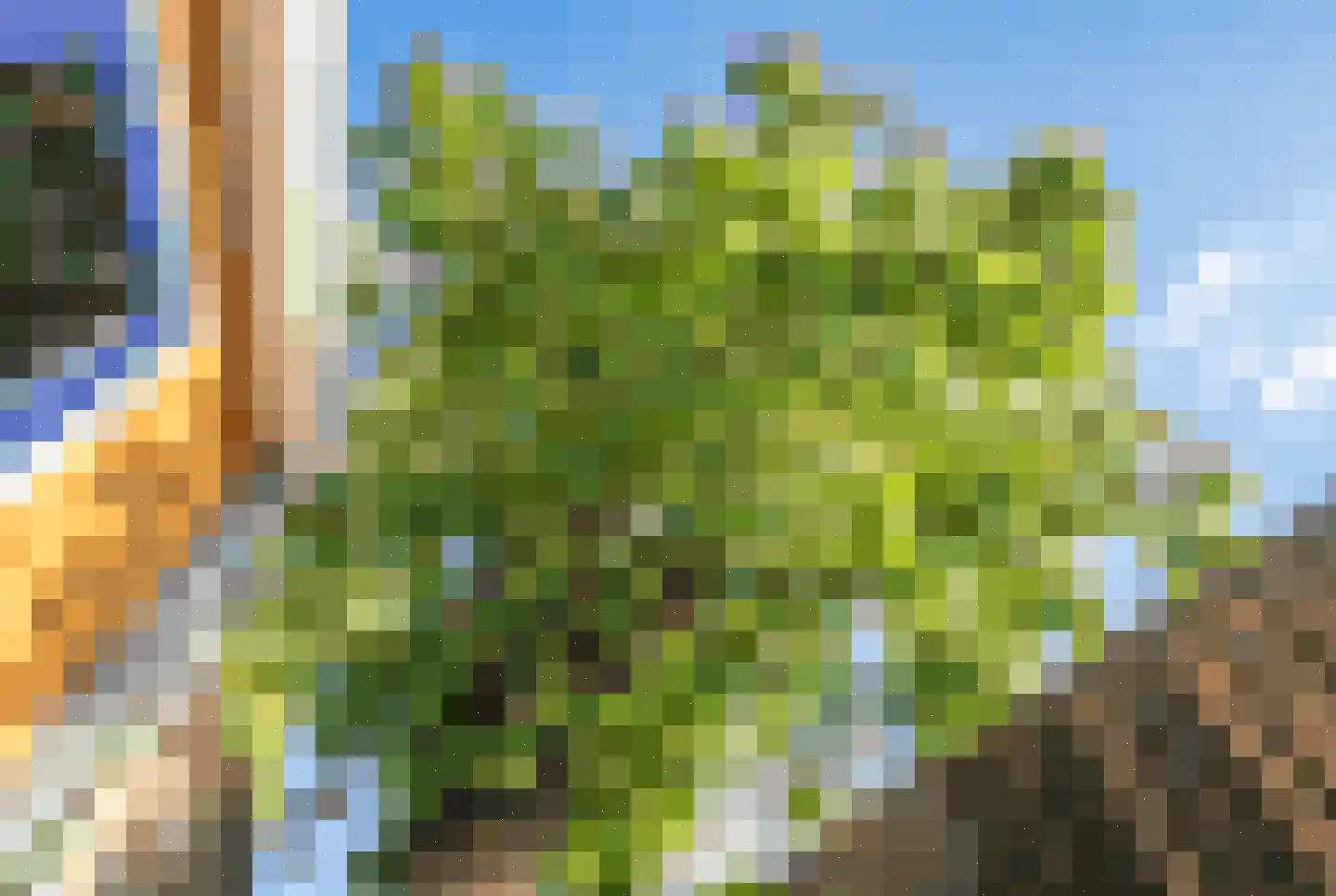 Zuidveldt 1 Zoeterwoude thumbnail 48