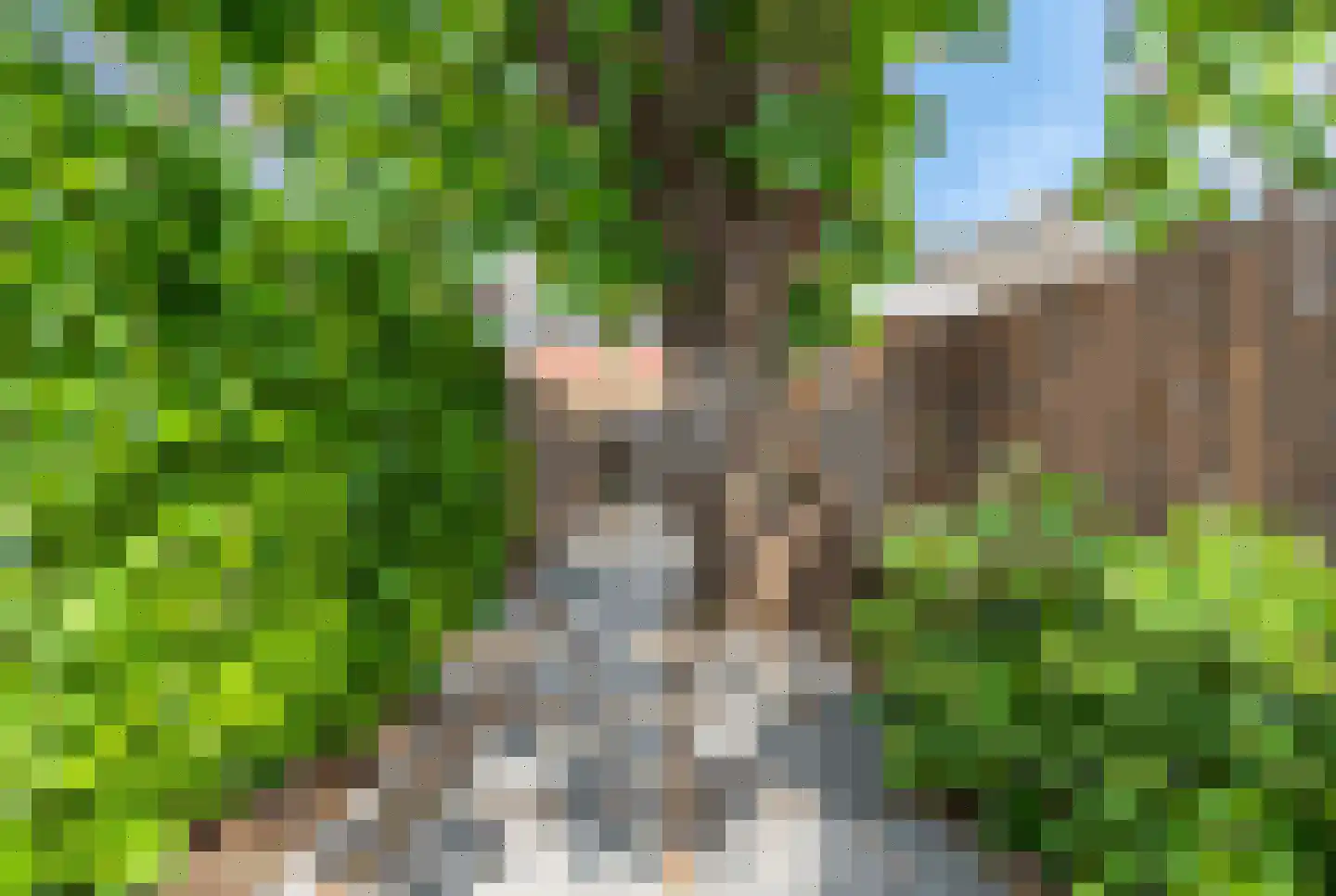 Zuidveldt 1 Zoeterwoude thumbnail 49