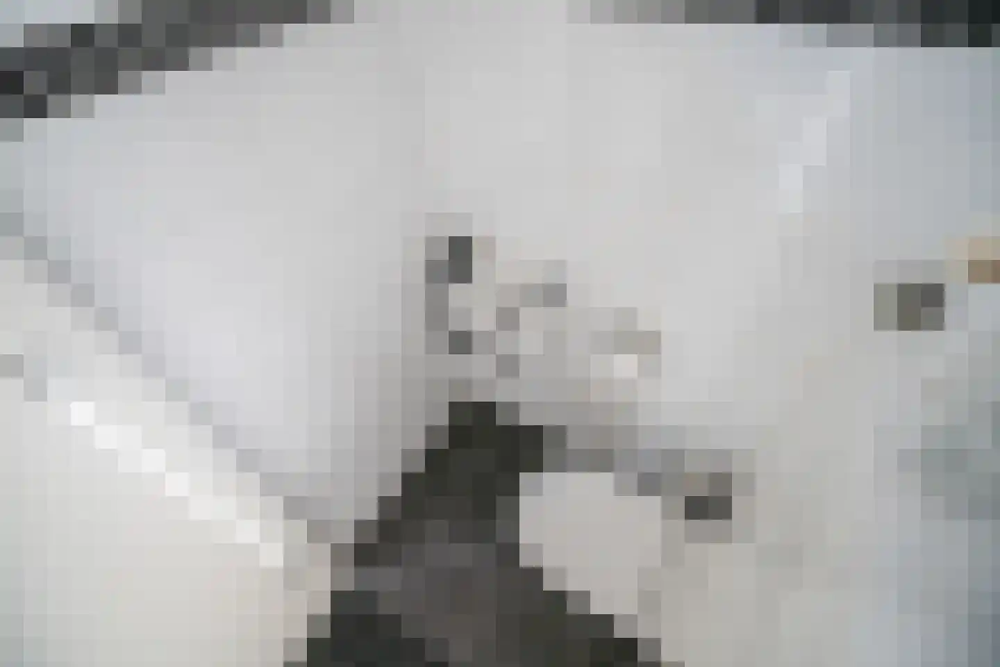 Zuidveldt 1 Zoeterwoude thumbnail 56