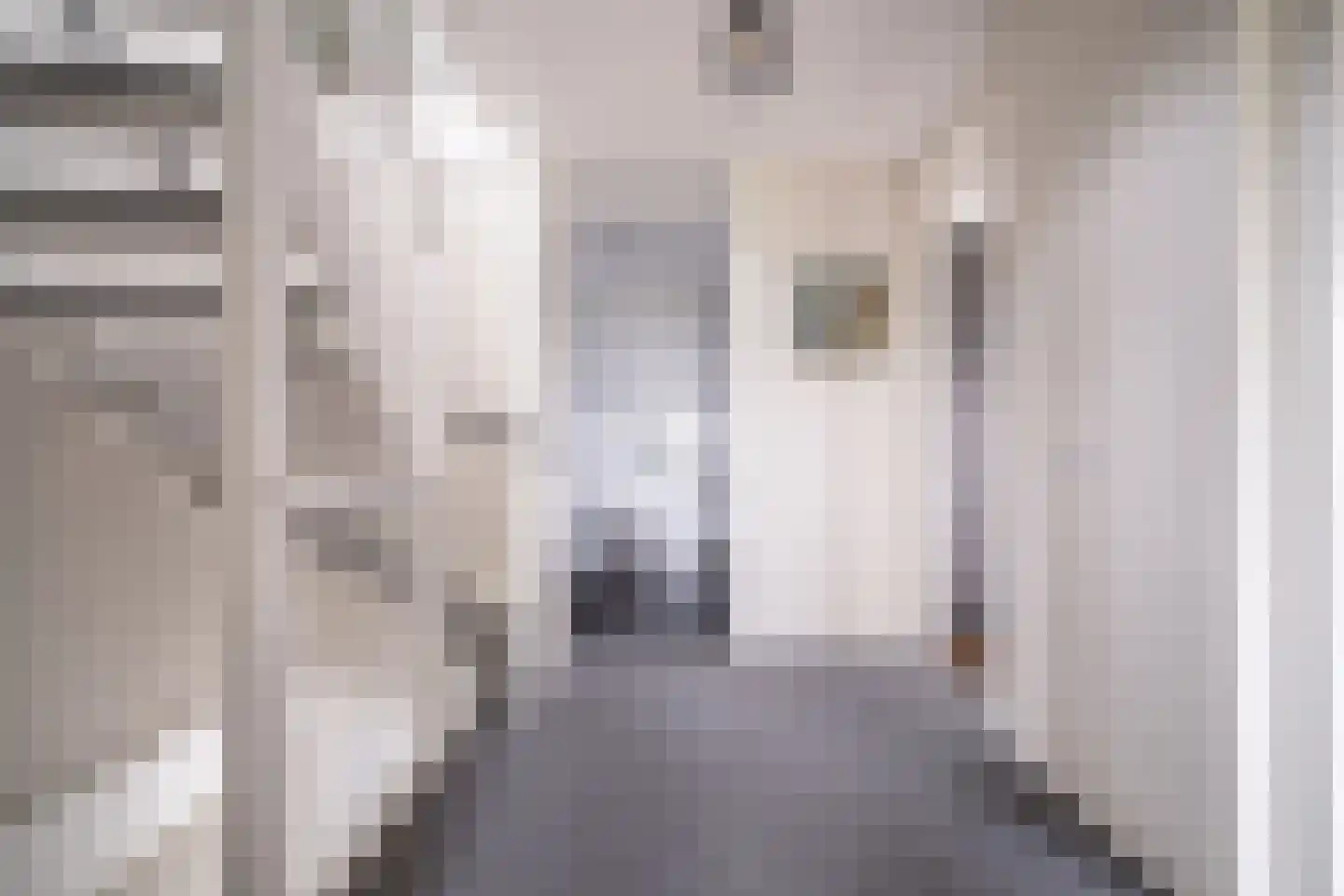 Zuidveldt 1 Zoeterwoude thumbnail 65