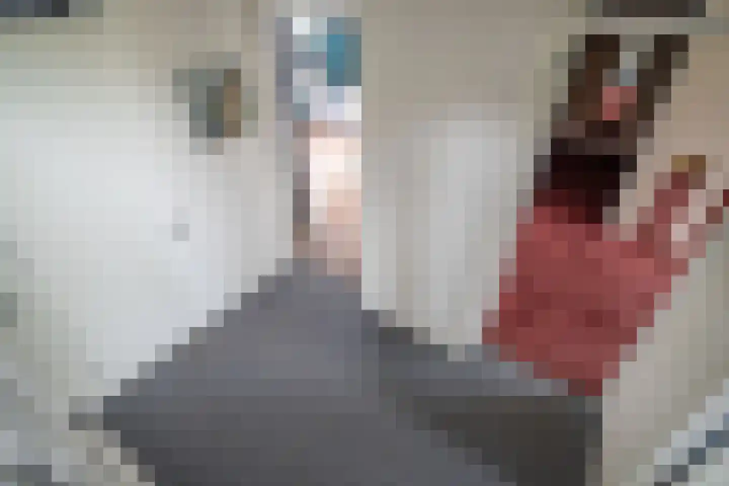 Zuidveldt 1 Zoeterwoude thumbnail 69