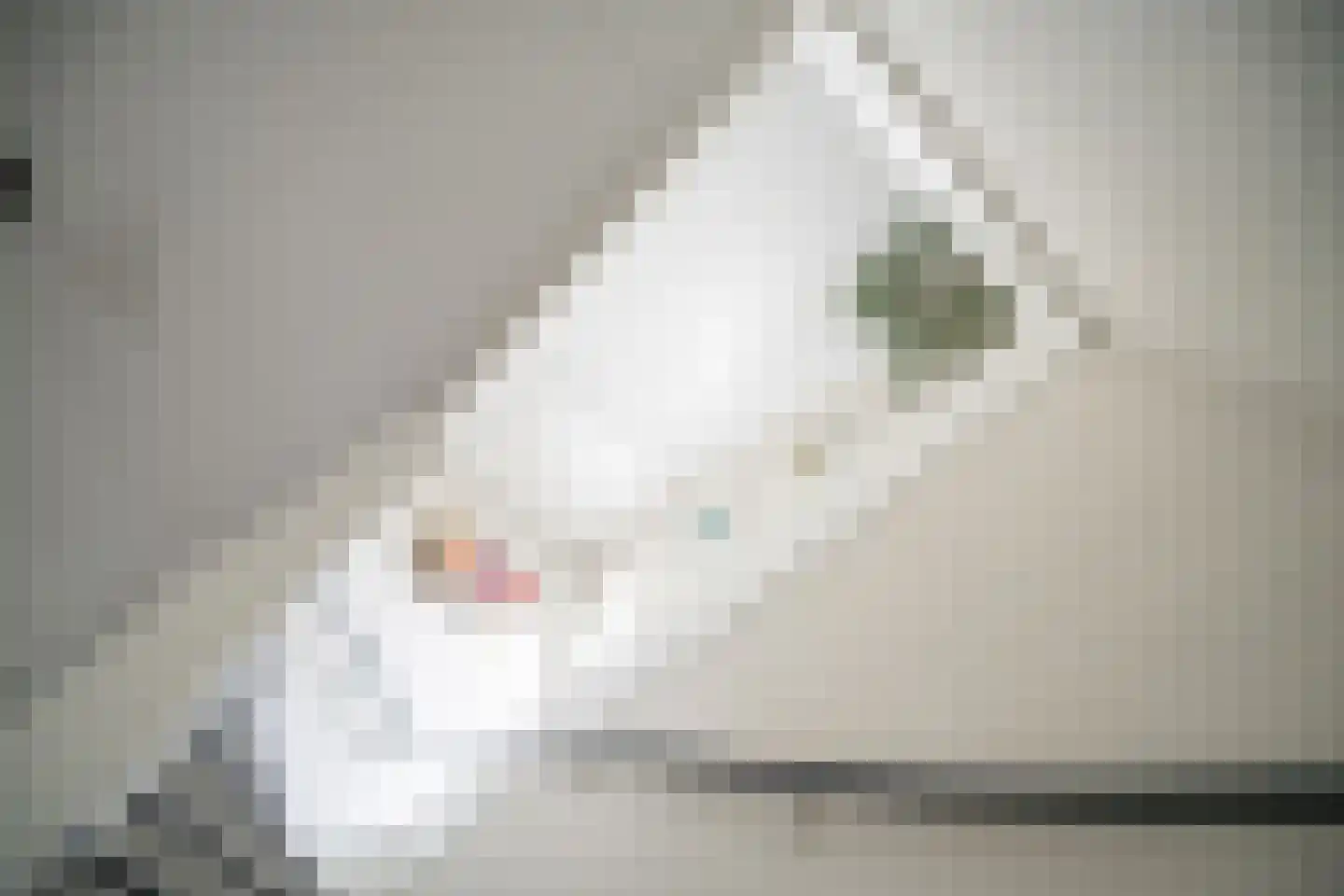 Zuidveldt 1 Zoeterwoude thumbnail 77