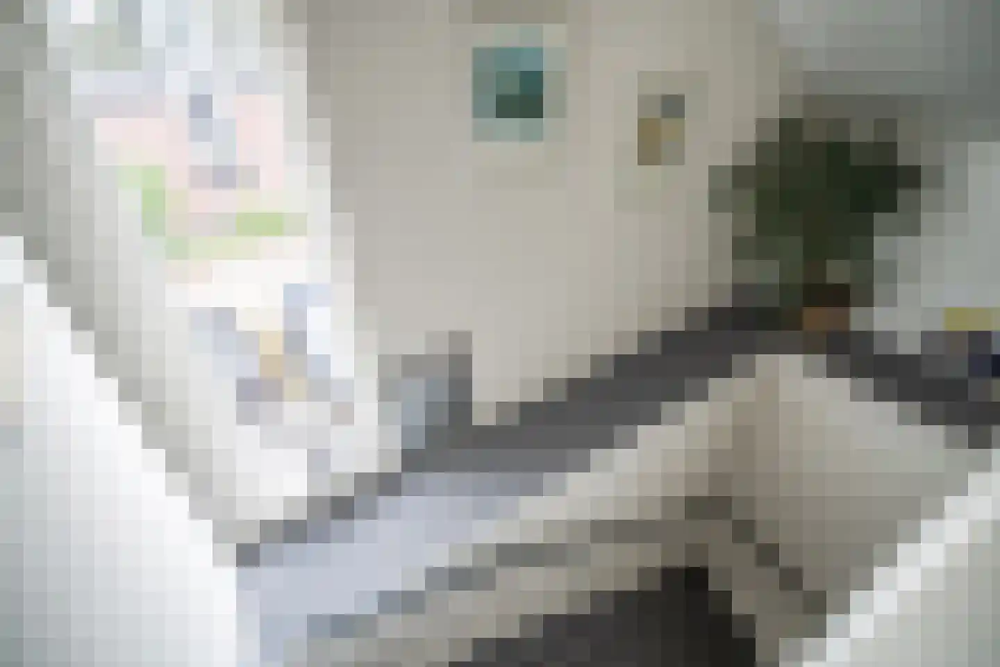 Zuidveldt 1 Zoeterwoude thumbnail 78