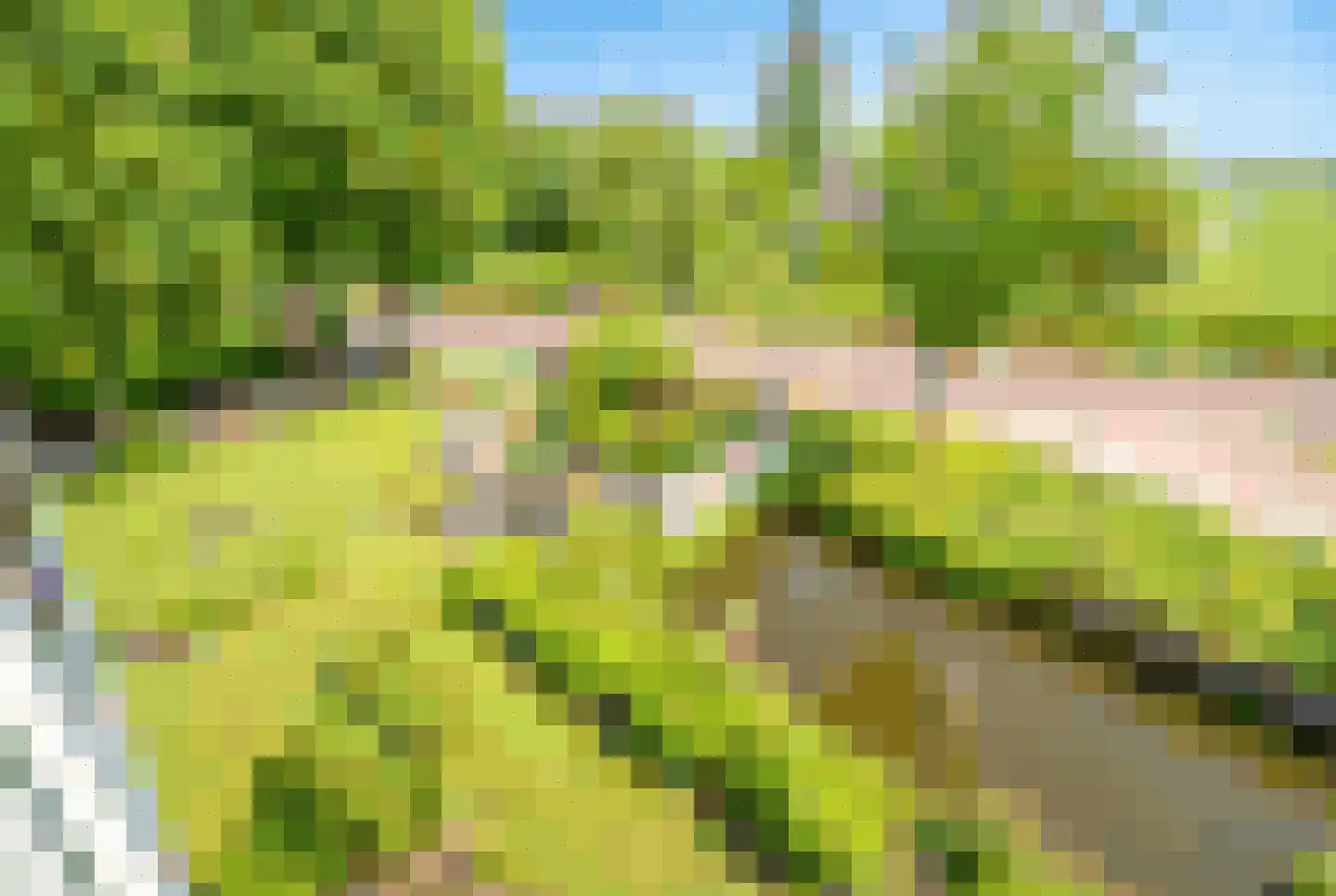 Zuidveldt 1 Zoeterwoude thumbnail 87