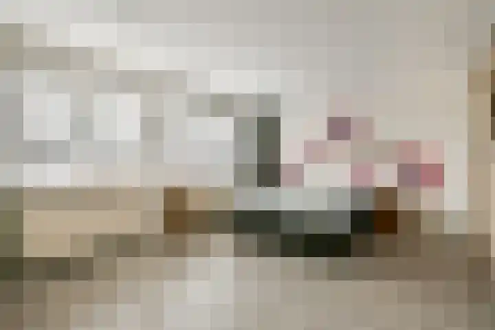 Zuidveldt 18 Zoeterwoude thumbnail 15