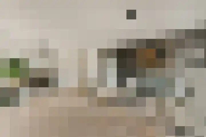 Zuidveldt 18 Zoeterwoude thumbnail 8