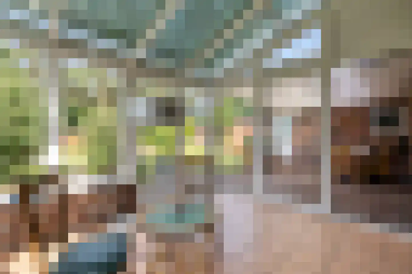 Zuidveldweg 1 Sellingen thumbnail 28