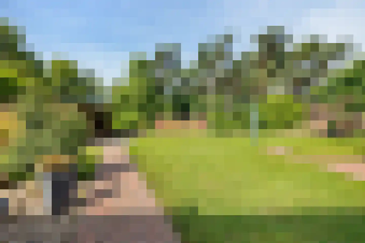 Zuidveldweg 1 Sellingen thumbnail 31