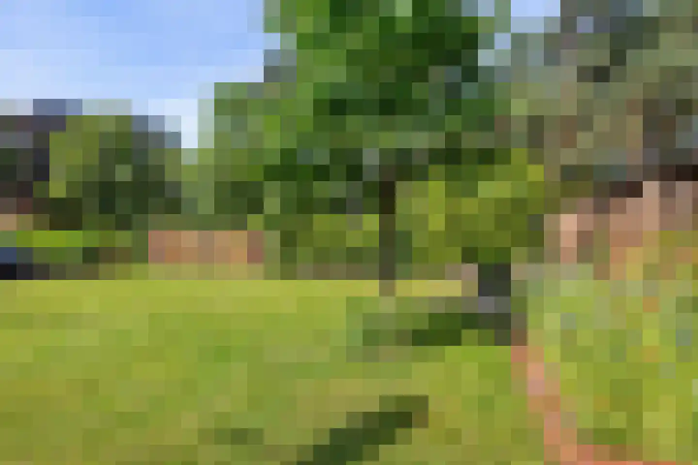 Zuidveldweg 1 Sellingen thumbnail 35