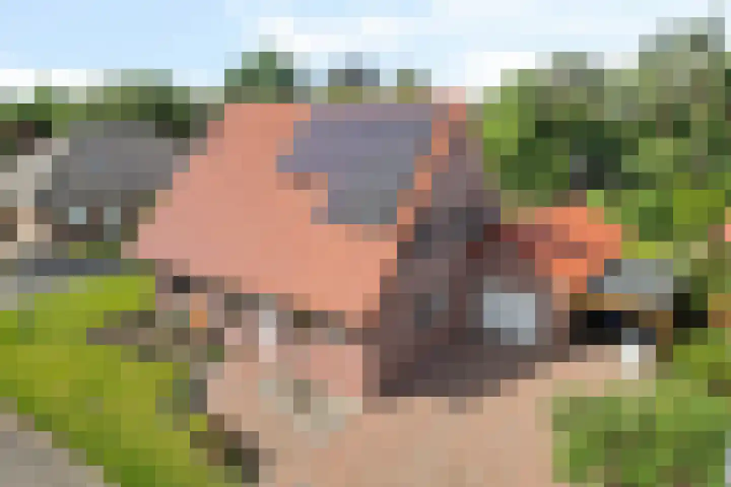 Zuidveldweg 1 Sellingen thumbnail 37
