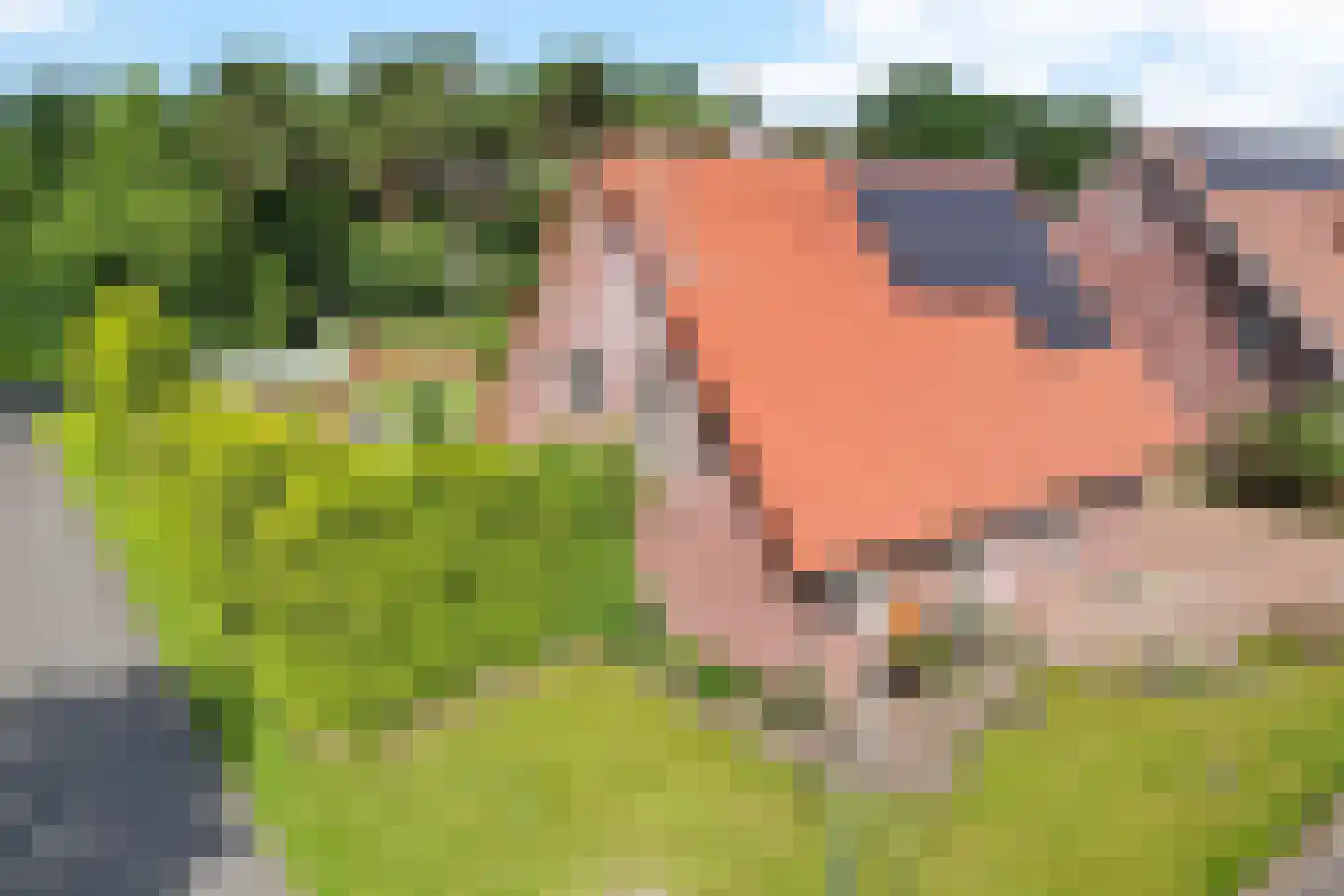 Zuidveldweg 1 Sellingen thumbnail 38