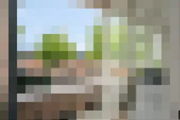 Zuidvliet 328 Leeuwarden thumbnail 5
