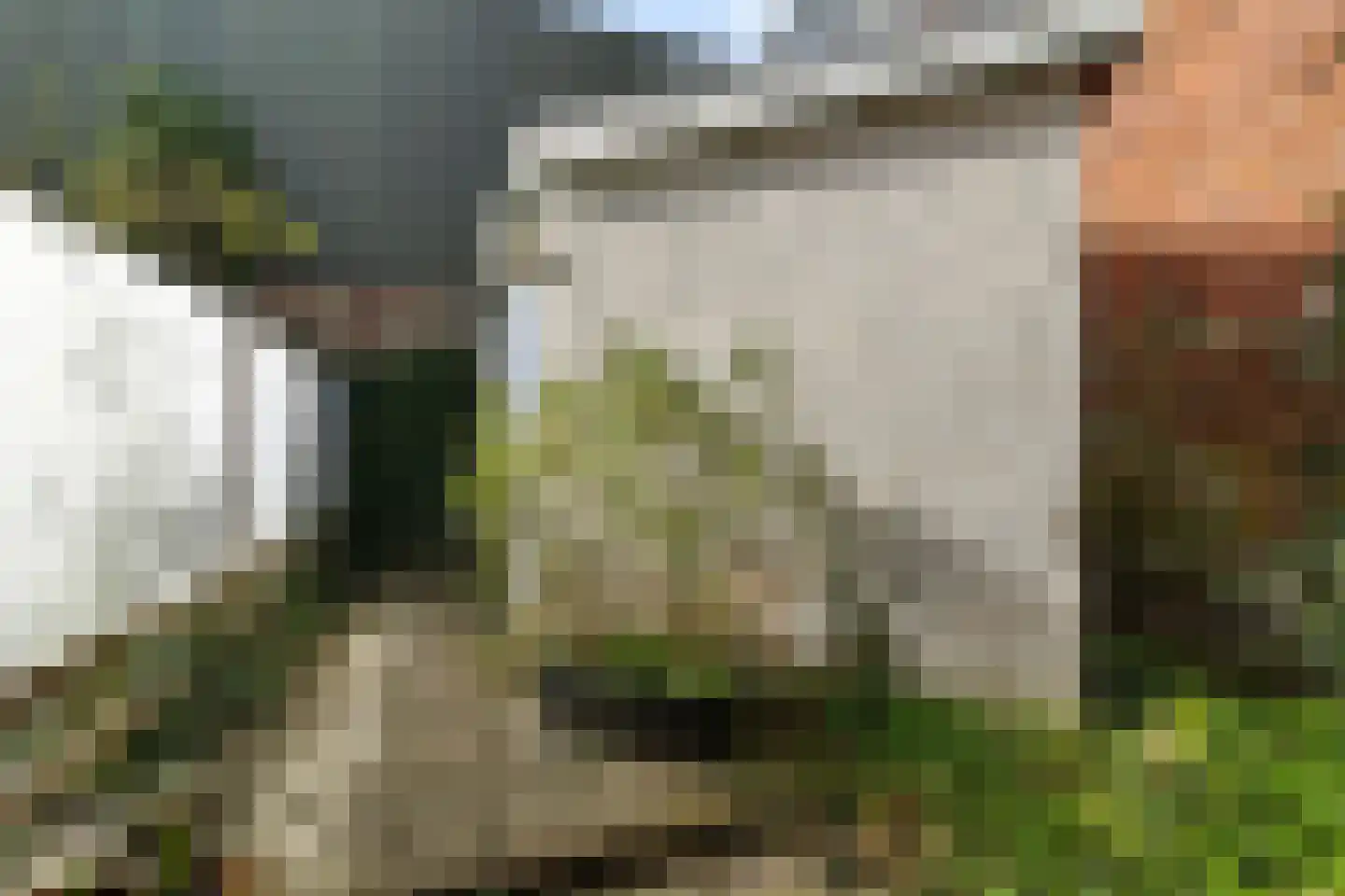 Zuidvliet 4 Leeuwarden thumbnail 13