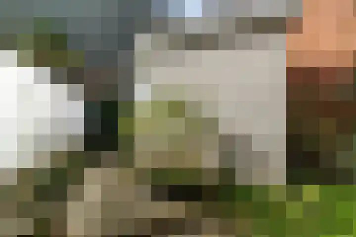 Zuidvliet 4 Leeuwarden thumbnail 38