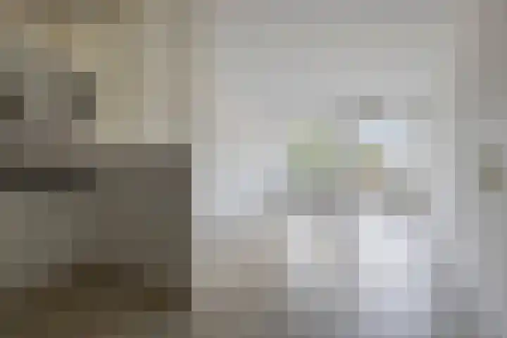 Zuidvliet 490 Leeuwarden foto 2