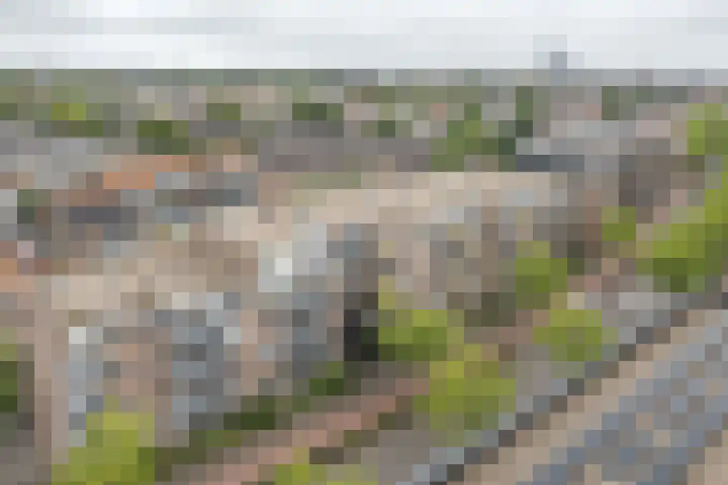 Zuidvliet 538 Leeuwarden thumbnail 22